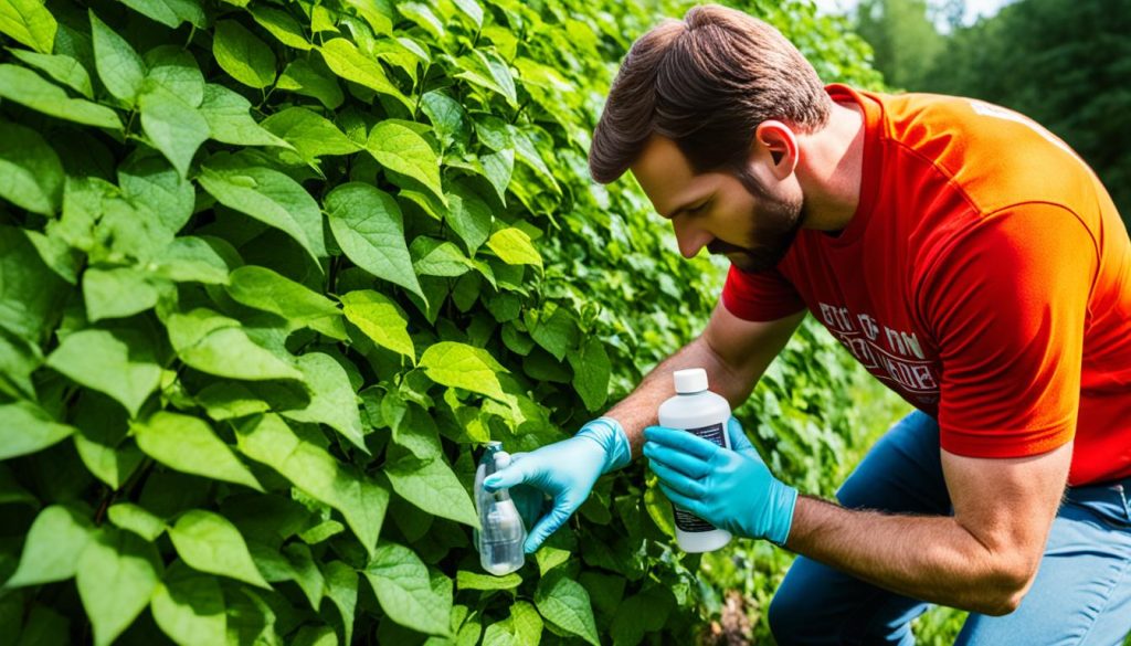 Eliminate Poison Ivy Fast
